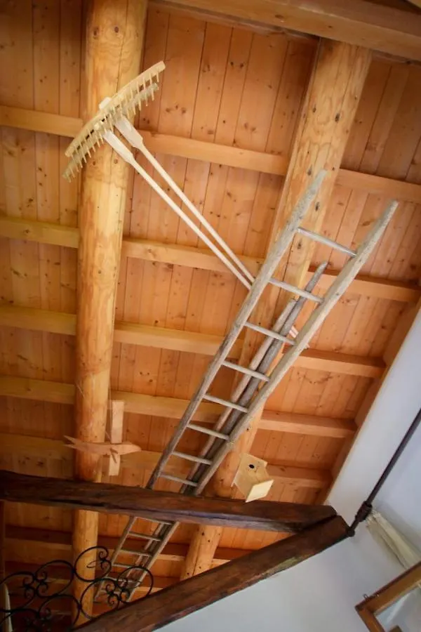 Baita Agaz Sovramonte Holiday home