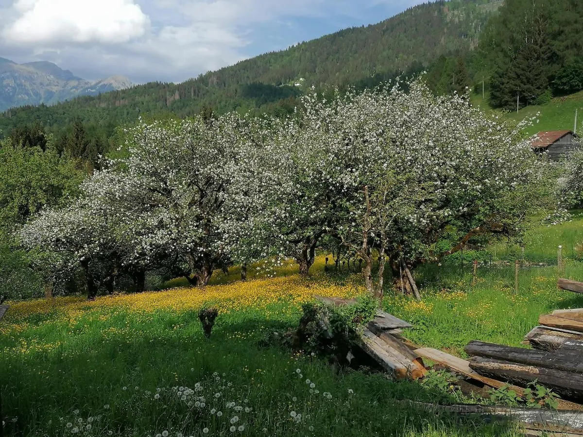 Baita Agaz Sovramonte Holiday home