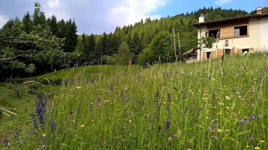 Holiday home Baita Agaz Sovramonte